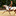 Favicon van debrandenburgh.nl