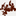 Favicon van debruidsgalerie.nl