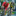 Favicon van defietsenmaker.nl