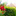 Favicon van defochtel.nl