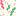 Favicon van defunshop.nl