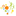 Favicon van degroeiling.nl