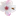 Favicon van degroenegeveltuin.nl