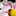 Favicon van deheughte.nl
