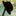 Favicon van dehoedtenderand.nl