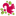 Favicon van deklokkebei.nl