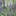 Favicon van dekorenbloemtuinen.nl