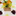 Favicon van dekortecatering.nl