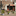 Favicon van deluifelstramproy.nl