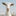 Favicon van demekkerstee.nl
