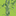 Favicon van denelzenhof.nl