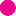 Favicon van denieuwebibliotheek.nl