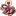 Favicon van denolifant.nl