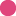 Favicon van dentalunion.nl