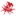 Favicon van depoppekast.nl