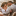 Favicon van desireedijkfotografie.nl