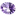 Favicon van desteenenkamer.nl
