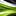 Favicon van deukexpert.nl