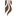 Favicon van devigo.nl