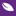 Favicon van dewicyntha.nl