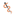 Favicon van dezegerij.nl
