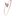 Favicon voor dezero.nl
