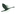 Favicon van dezwaanuitvaarten.nl