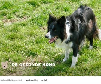 http://www.degezondehond.nl
