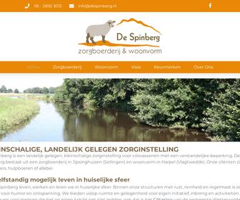 http://www.despinberg.nl