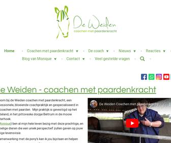 https://www.deweidenpaardencoaching.nl/