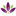 Favicon van diamond-flowers.nl