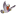 Favicon van dierenhulp.com