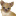 Favicon van dierenwerelddijkstra.nl
