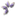 Favicon van dijkstra-voetenhuidverzorging.nl