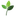 Favicon van djhendriksen.nl