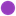Favicon van djimschot.com