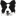 Favicon van dogcenter.nl