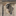 Favicon van dokterjansen.net