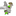 Favicon van donkieszundert.nl