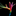 Favicon van dreamcoloursbytatjana.nl