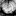 Favicon van drevolution.nl