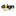 Favicon van dsign4you.nl
