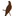 Favicon van dsrvolierebouw.nl