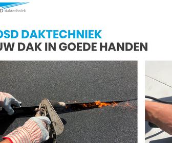 http://www.dsddaktechniek.nl