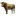 Favicon van dumpwebshop.nl
