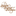 Favicon van dutchbrandfashion.nl