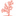 Favicon van dutchreef.nl