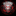 Favicon van dw-bookings.com