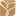 Favicon van eendrachtzorg.nl