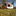 Favicon van eenfeestje.nl